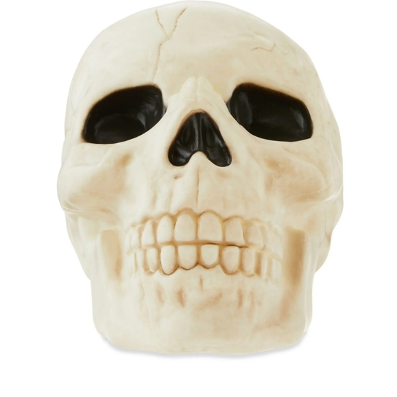 Way To Celebrate Set of Six Plastic Skull Decor Pieces Walmart 2025 Halloween - Picture 8 of 11